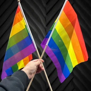11" X 17" Rainbow Flag on Wooden Stick