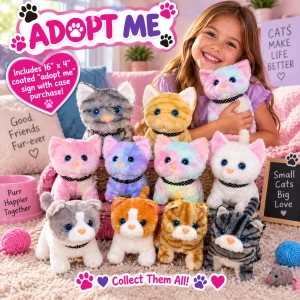 Assorted Color Walking Cat On Leash