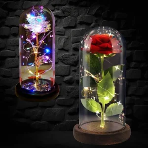 Assorted Style Flowers IN Glass with LED Lights