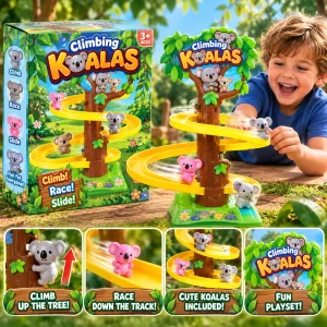 Bear Track Toy In