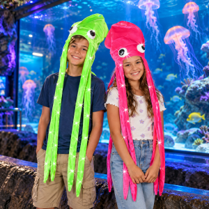 Hat-Squidlg