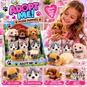 Premium Assortment Dog On Leash