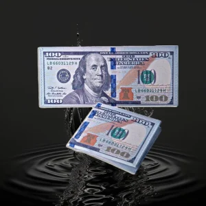 USA $100 Bill Wallet